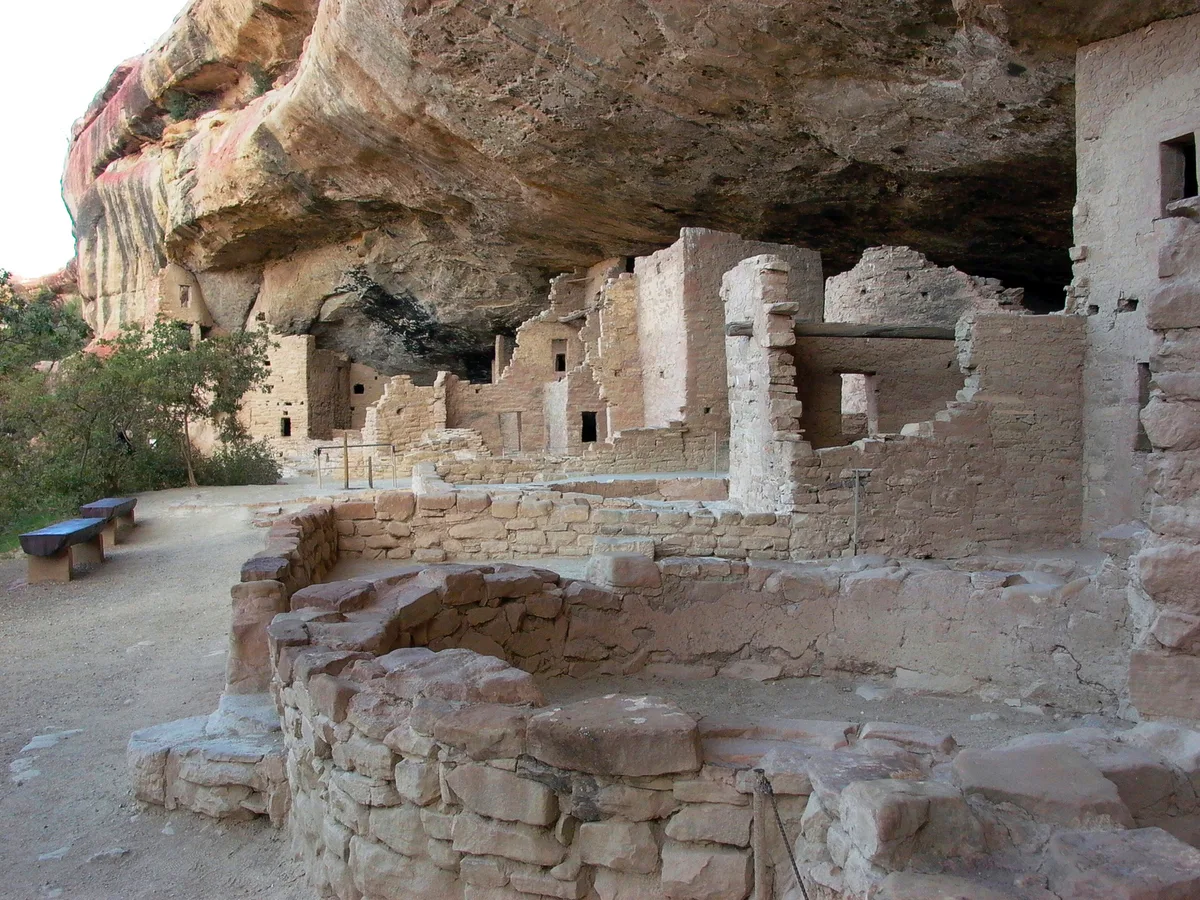 Wide view of Spruce Tree House’s sandstone ruins tucked beneath a massive cliff alcove, with layered tan and red rock overhead and a few low benches and paths in the foreground. Soft morning light highlights the weathered masonry walls, doorways, and kiva remains.