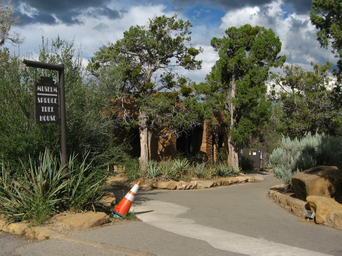 A paved trail curves past a “Museum Spruce Tree House” sign and an orange traffic cone toward a low, tan stone building partly hidden by piñon and juniper trees. Bright morning light and dramatic clouds highlight the desert landscaping and sandstone-colored architecture.