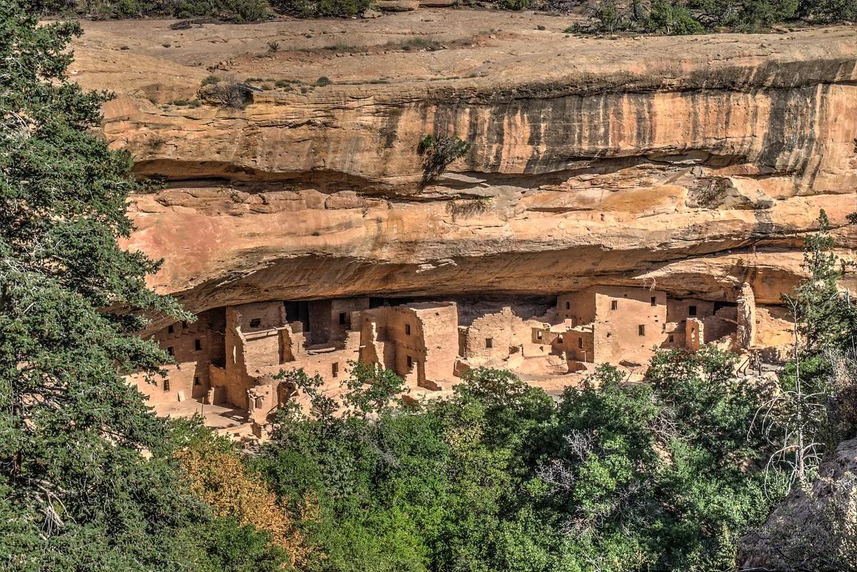 Sunlit cliff dwellings of Spruce Tree House sit tucked under a broad sandstone alcove, with tan masonry walls and small square windows framed by dark shadow. Green trees and brush fill the foreground, while the layered rock ledge above shows weathered streaks and warm morning light.