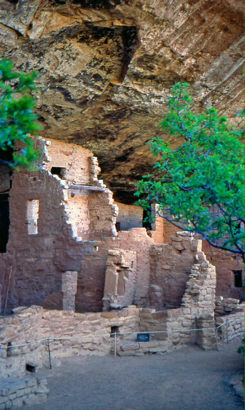 Sunlit sandstone cliff dwellings rise beneath a broad, dark alcove, with crumbling tan walls, small rectangular openings, and stacked masonry visible in the foreground. Green trees frame the ruins, and a rope barrier lines the overlook below.