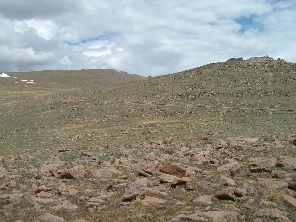 Rocky alpine tundra fills the foreground with scattered boulders and tiny yellow wildflowers, while a narrow Trail Ridge Road cuts across the open slope under a cloudy morning sky. Low, rounded mountains rise beyond the overlook, with a few lingering patches of snow on the left.