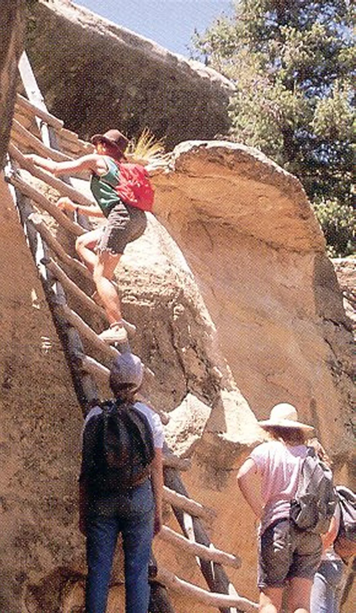 Hikers climb a narrow wooden ladder bolted into a sandstone cliff, with a guide leading the way through a sunlit canyon. Large tan boulders, scrubby green trees, and bright morning light frame the steep, remote archaeological site.