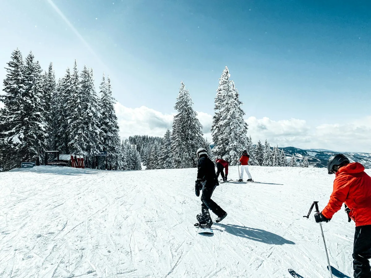 Skiers and a snowboarder glide across a bright, groomed run framed by snow-laden evergreens under a clear blue sky. The scene feels crisp and open, with long shadows stretching across the white slope.