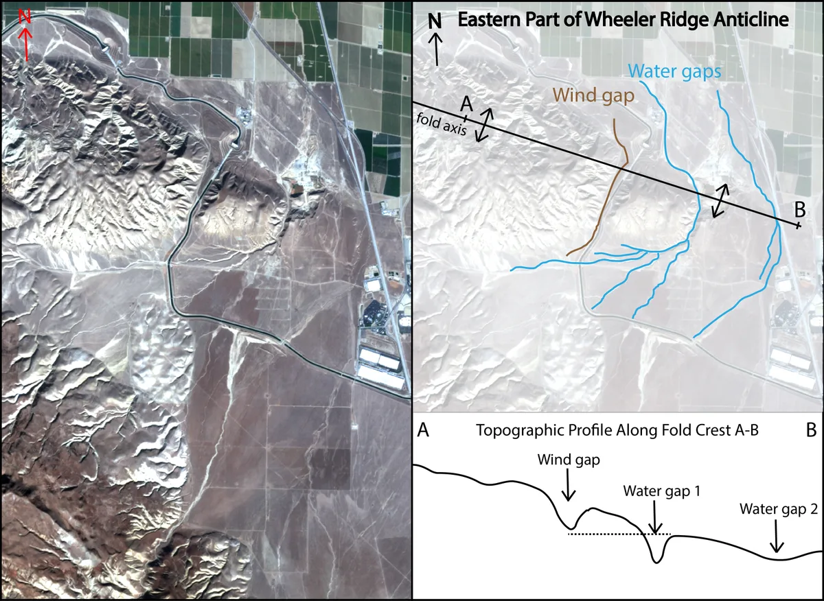 A split-screen geology graphic shows satellite views of the Wheeler Ridge Anticline, with pale mountain ridges cut by winding water gaps and a labeled wind gap crossing brown farm fields. A topographic profile below traces the ridge crest with arrows marking the gaps, while the terrain is bright and high-contrast under clear daylight.