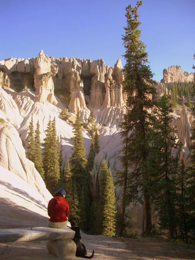Sunlit white and pale pink hoodoos rise in jagged spires above a grove of dark evergreens under a clear blue sky. In the foreground, a person in a red jacket sits on a bench beside a black dog, looking out over the remote canyon.