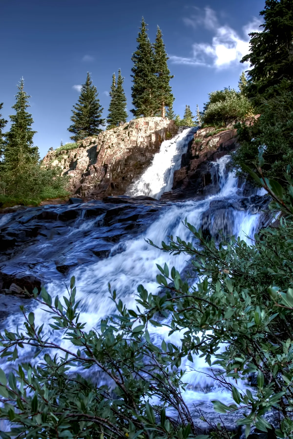 A bright mountain waterfall spills over dark rock ledges in Yankee Boy Basin, framed by tall spruce trees and leafy shrubs in the foreground. Clear blue sky and strong morning light make the white water stand out against the rugged alpine landscape.